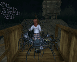 spiders