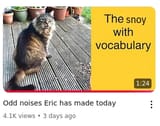odd noises