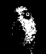 1750956272669443