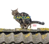 mhwilds releaseversion
