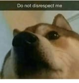 1745035312713089