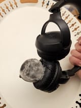 mold-fruit-headphones
