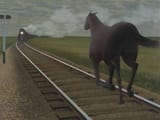 hrd