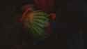 How in the world did this not only get past QA, but like six patches？_thumb.jpg