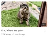 where are you