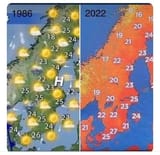 nzvw0y85o9391