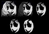 gaster