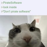 12572859