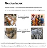 pol - fixation index, difference between blacks and whites_1