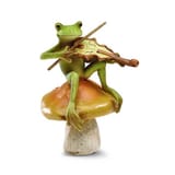 froggle