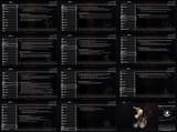 bullet moveset entropy effect
