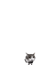 cat-brick