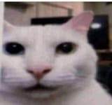 1679492887347376