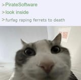 12572859a