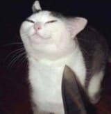 1751013041992