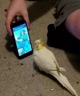 1748992857337607