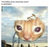 1719680390980891