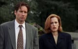 scully is short