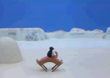 33534534