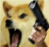 5352352352523