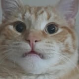 1751027027390
