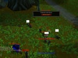wpvp