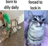 1719229327020066m