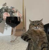 catine