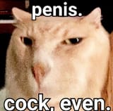 dick