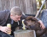 slav_bever