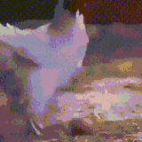 spicy chicken
