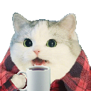 small-cropped-cosy-cup-cat