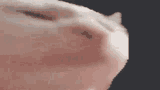 1605893962604