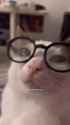1725034921180857_thumb.jpg