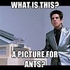 ants