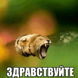 c1d8890bb4be618acc88485ff1016326