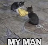 give-me-some-happy-exited-reaction-images-v0-gg7ibm0on3ac1