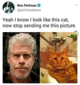 3213213