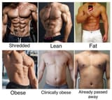 body diversity