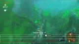 botw fps