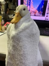 GtJx6webMAUUgm9