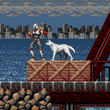 shinobi dog