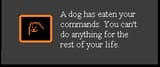 dog commands