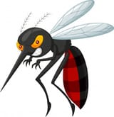 ac399d6ed8c34f986aad55ee6cf03da1