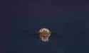 an ancient evil awakens_thumb.jpg