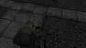 1751080310363502[1]_thumb.jpg