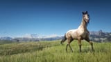 rdr2horses.wixsite.com_MFT_12
