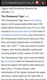 pajeet doomsday