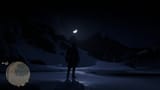 RDR2 (3)