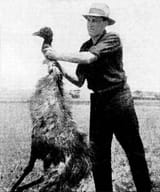 Deceased_emu_during_Emu_War